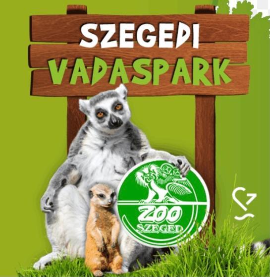 Appartamento Dom Square-Centrum-Free Parking Szeged Esterno foto