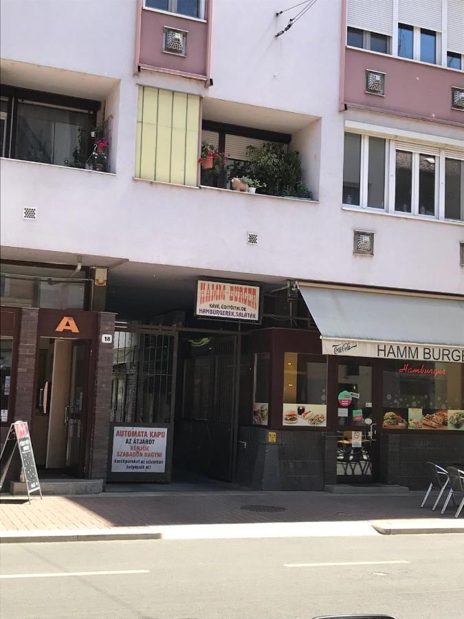 Appartamento Dom Square-Centrum-Free Parking Szeged Esterno foto